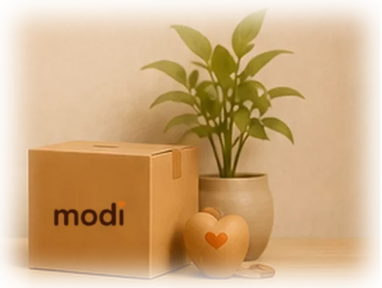Modi logolu kutu ve saksı bitkisi